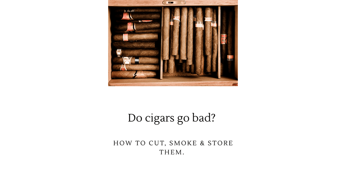 Do Cigars Go Bad? How to Cut, Smoke and Store Them | The Smoking Jacket - The Smoking Jacket