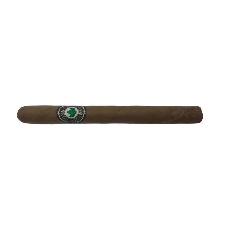 Joya de Nicaragua Clasico Senorita - The Smoking Jacket