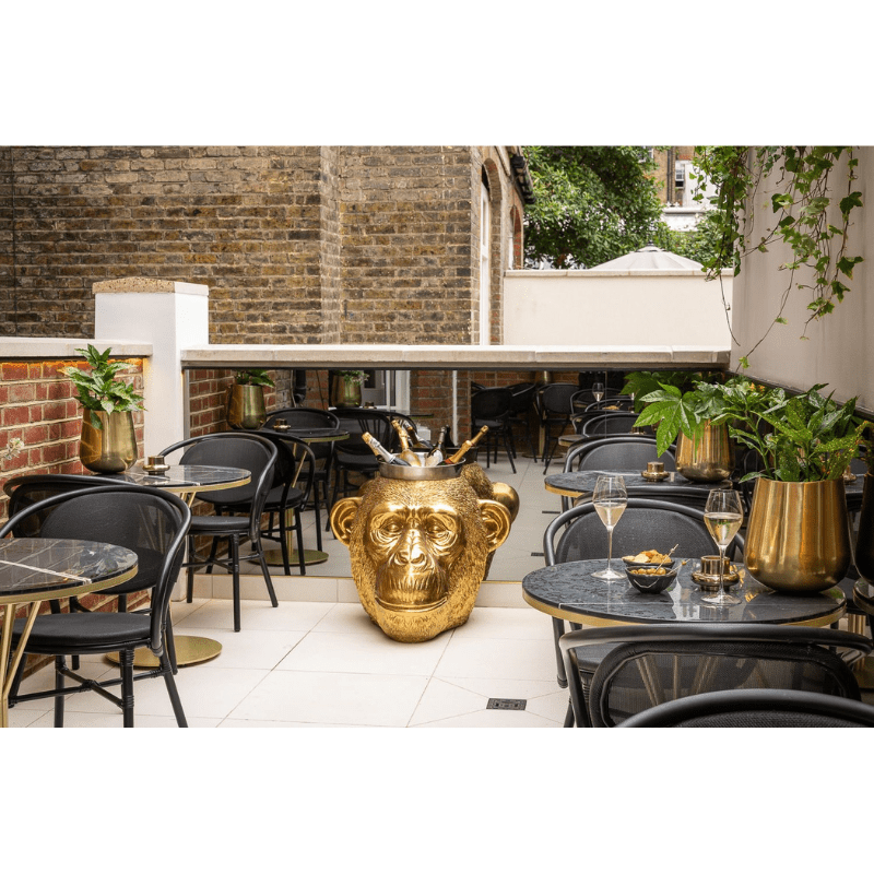 Unwind with Cuban Cigars - 9th October 2024 - The Smoking Jacket