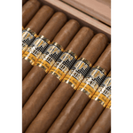Cohiba Exquisitos - Cigars - The Smoking Jacket