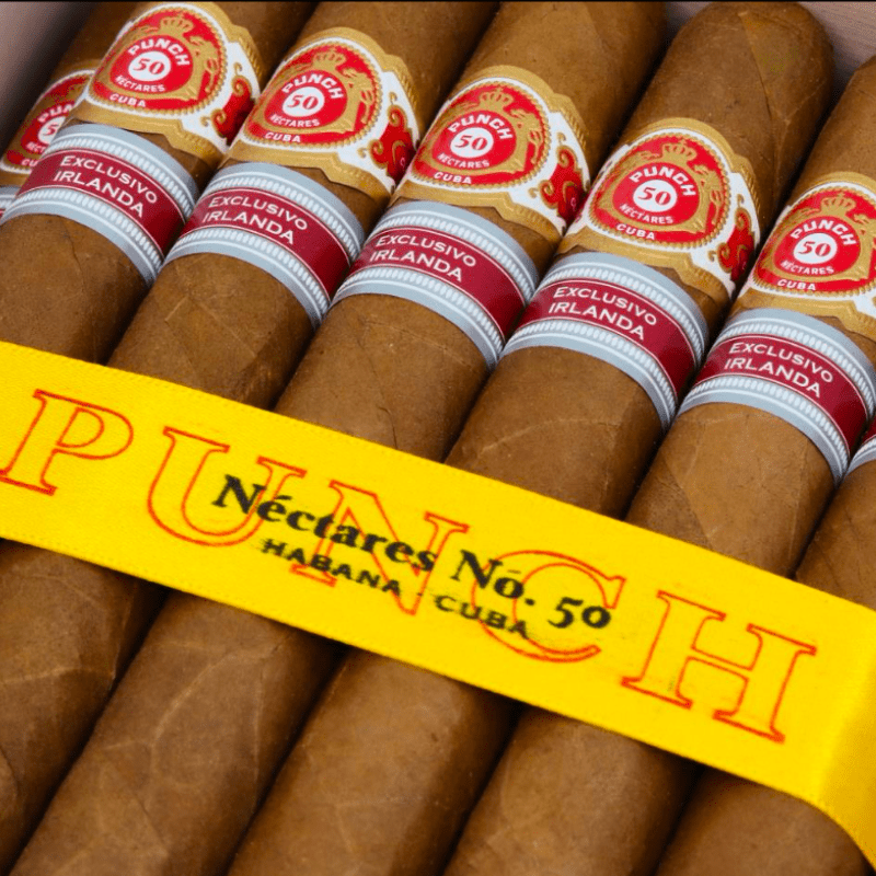 Punch Nectares No. 50 Irish Regional Edition - Cigars - The Smoking Jacket