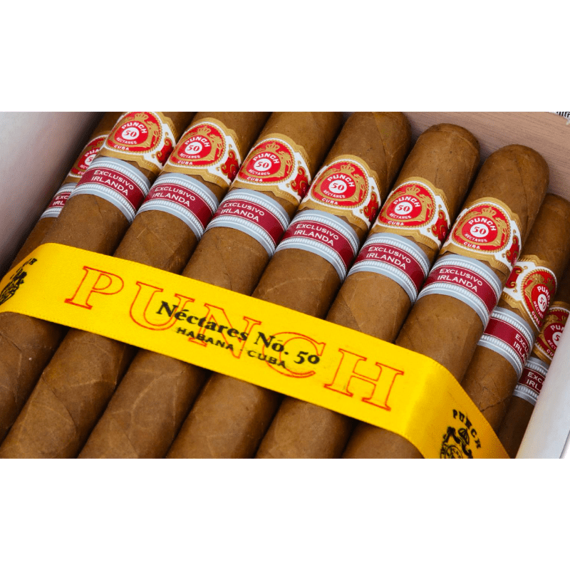 Punch Nectares No. 50 Irish Regional Edition - Cigars - The Smoking Jacket