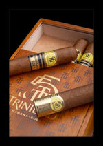 Trinidad Cabildos Limited Edition 2024 Box of 12 - Cigars - The Smoking Jacket